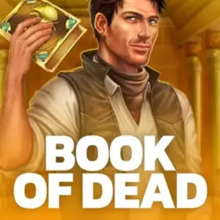 Book of Dead slot at Vegas Hero casino